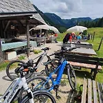 Alpenchalet Im Steirischen Salzkammergut Tauplitz