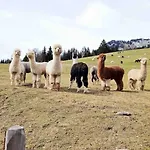 Alpenchalet Im Steirischen Salzkammergut Сasa de vacaciones *