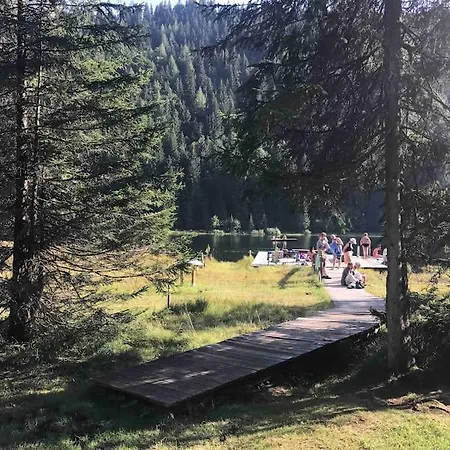 Ferienhaus Alpenchalet Im Steirischen Salzkammergut Tauplitz