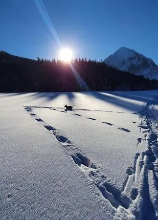 Prázdninový dům Alpenchalet Im Steirischen Salzkammergut *