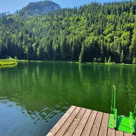 Dom wakacyjny Alpenchalet Im Steirischen Salzkammergut Tauplitz