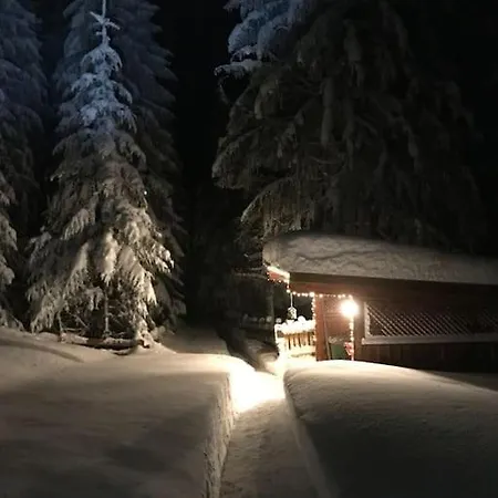 Holiday home Alpenchalet Im Steirischen Salzkammergut Tauplitz