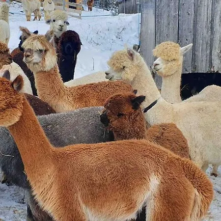 Alpenchalet Im Steirischen Salzkammergut Holiday home *