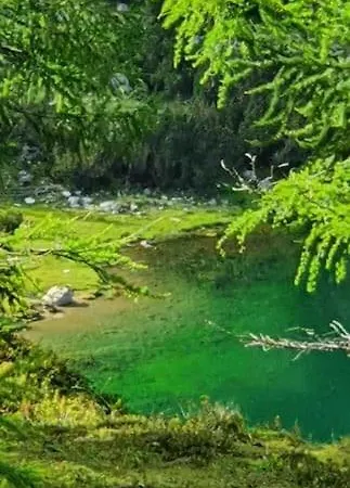 Alpenchalet Im Steirischen Salzkammergut Tauplitz