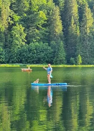 Holiday home Alpenchalet Im Steirischen Salzkammergut Tauplitz