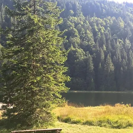 Prázdninový dům Alpenchalet Im Steirischen Salzkammergut *
