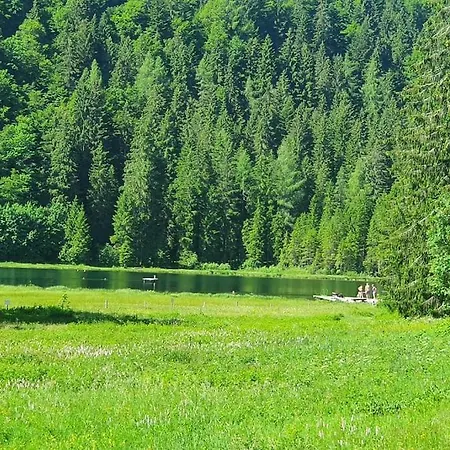Alpenchalet Im Steirischen Salzkammergut *