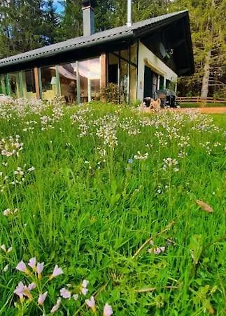 Prázdninový dům Alpenchalet Im Steirischen Salzkammergut