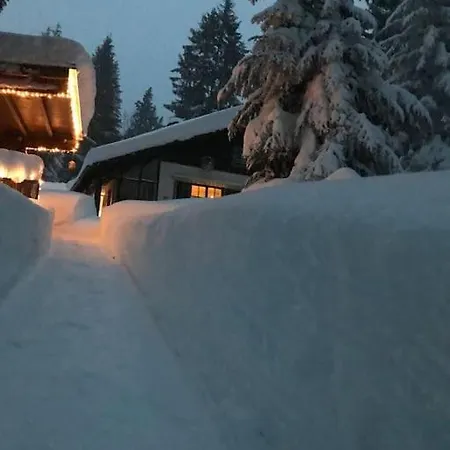 Alpenchalet Im Steirischen Salzkammergut Tauplitz