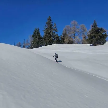 Alpenchalet Im Steirischen Salzkammergut *
