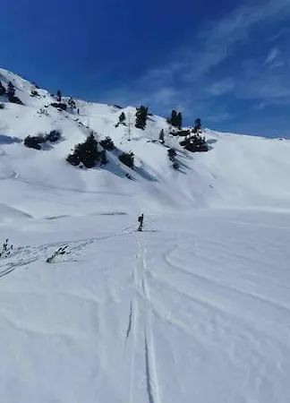 Prázdninový dům Alpenchalet Im Steirischen Salzkammergut Tauplitz