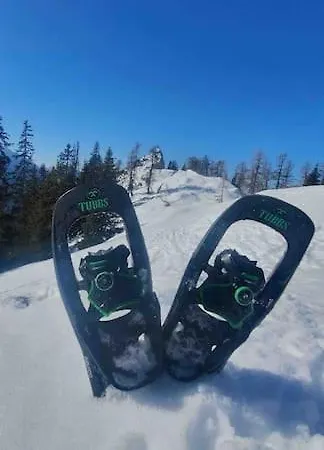 Alpenchalet Im Steirischen Salzkammergut Prázdninový dům Tauplitz