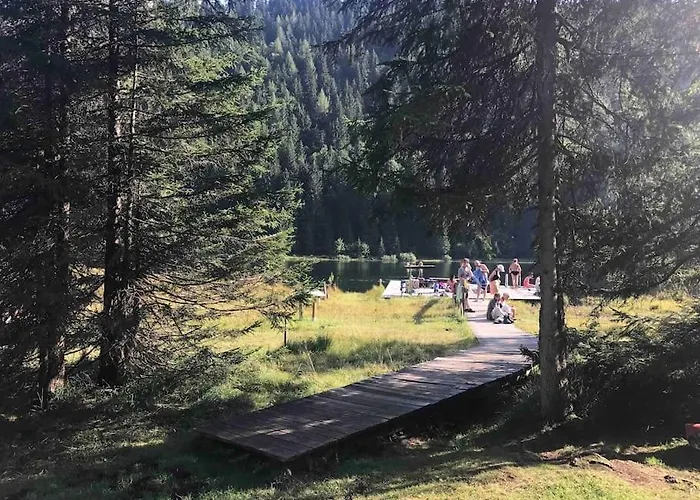 Holiday home Alpenchalet Im Steirischen Salzkammergut Tauplitz