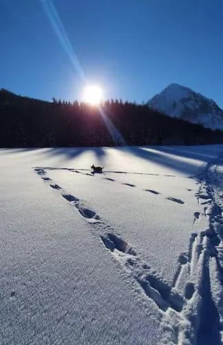 Semesterbostad Alpenchalet Im Steirischen Salzkammergut *
