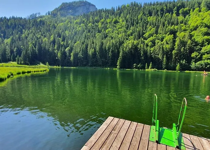 Dom wakacyjny Alpenchalet Im Steirischen Salzkammergut Tauplitz