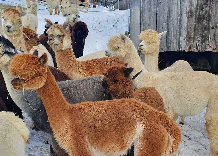 Alpenchalet Im Steirischen Salzkammergut Semesterbostad *