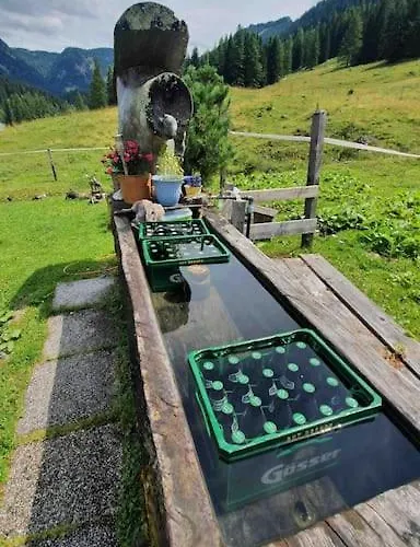 Holiday home Alpenchalet Im Steirischen Salzkammergut Tauplitz