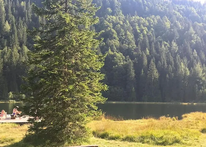 Holiday home Alpenchalet Im Steirischen Salzkammergut *