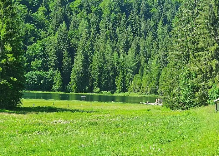 Alpenchalet Im Steirischen Salzkammergut *