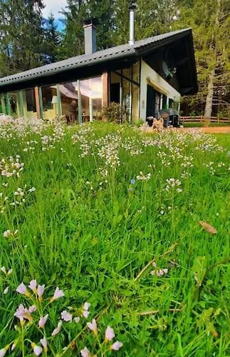 Dom wakacyjny Alpenchalet Im Steirischen Salzkammergut