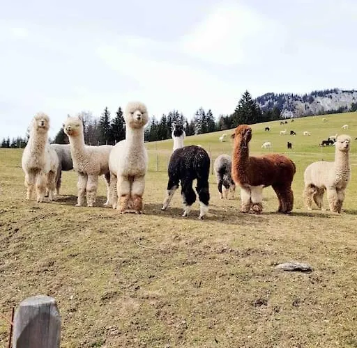 Alpenchalet Im Steirischen Salzkammergut Semesterbostad *