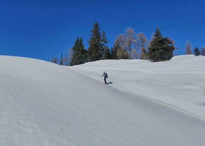 Alpenchalet Im Steirischen Salzkammergut *