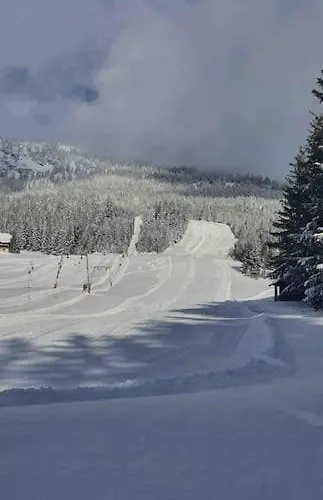 Holiday home Alpenchalet Im Steirischen Salzkammergut *