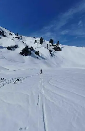 Dom wakacyjny Alpenchalet Im Steirischen Salzkammergut Tauplitz