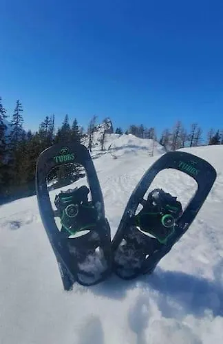 Alpenchalet Im Steirischen Salzkammergut Dom wakacyjny Tauplitz