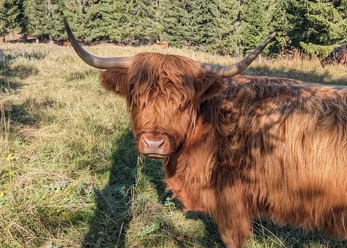 Holiday home Alpenchalet Im Steirischen Salzkammergut Tauplitz